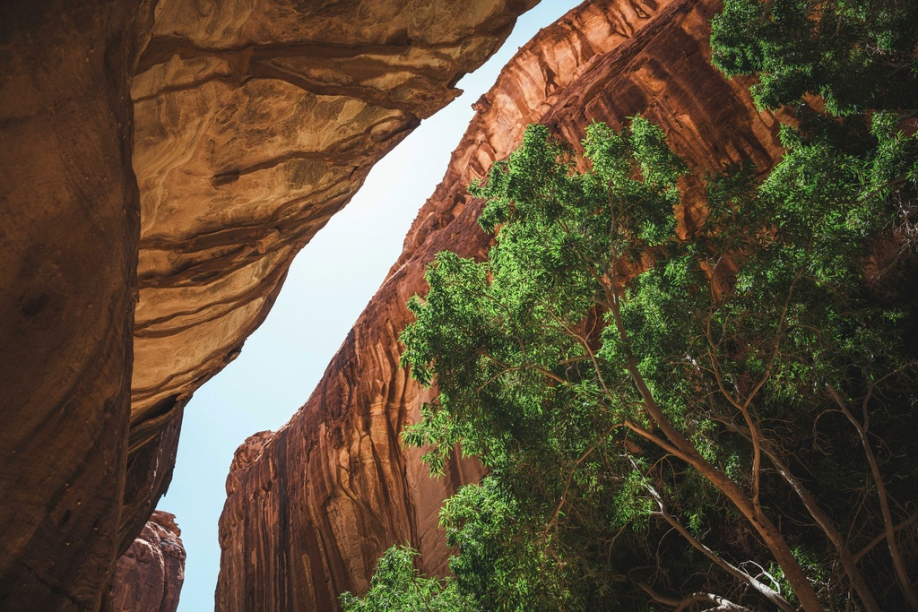 Journey Through Time - Adult