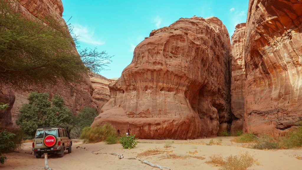Sharaan Nature Tour