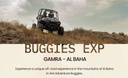 Buggy Ride (Al Baha)