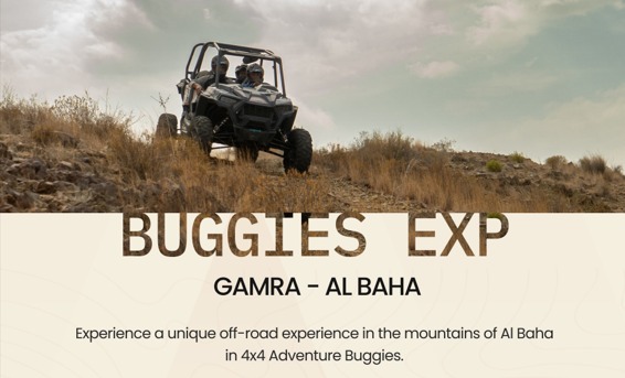 Long Buggy Ride (Al Baha)